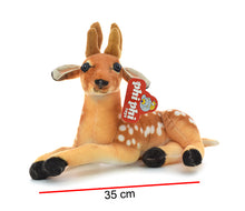 Bambi Echado PHI PHI TOYS 1