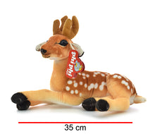 Bambi Echado PHI PHI TOYS 2