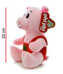 Chanchito Vestido 22cm PHI PHI TOYS 2