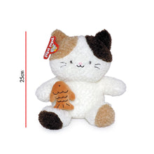 Gato Con Pescadito 25cm PHI PHI TOYS 1