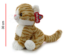 Gato Parado 3ocm Con Ojos Vidriosos 30cm PHI PHI TOYS 2