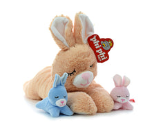 Mama Conejo Con 2 Hijos 38cm PHI PHI TOYS 2
