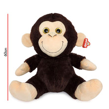 Mono Sentado 60cm PHI PHI TOYS 1