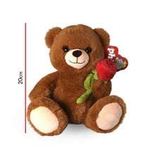 Oso Con Flor 20cm PHI PHI TOYS 1