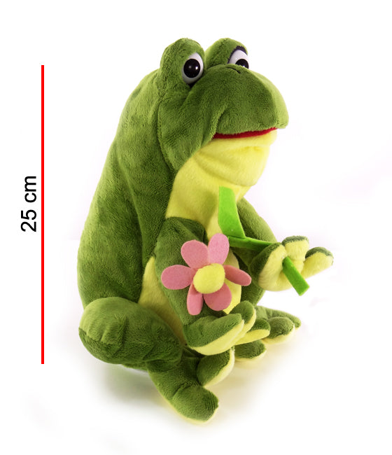 Rana Musical Canta Y Mueve Los Ojos 25cm PHI PHI TOYS 2