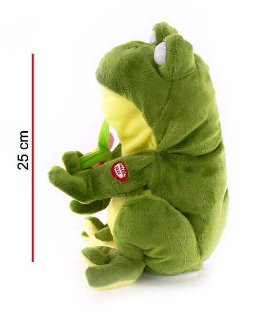 Rana Musical Canta Y Mueve Los Ojos 25cm PHI PHI TOYS 3