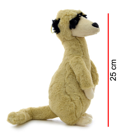 Zuricata 25cm PHI PHI TOYS 2