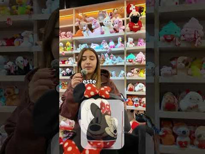 Combo Minnie Disney Fandom
